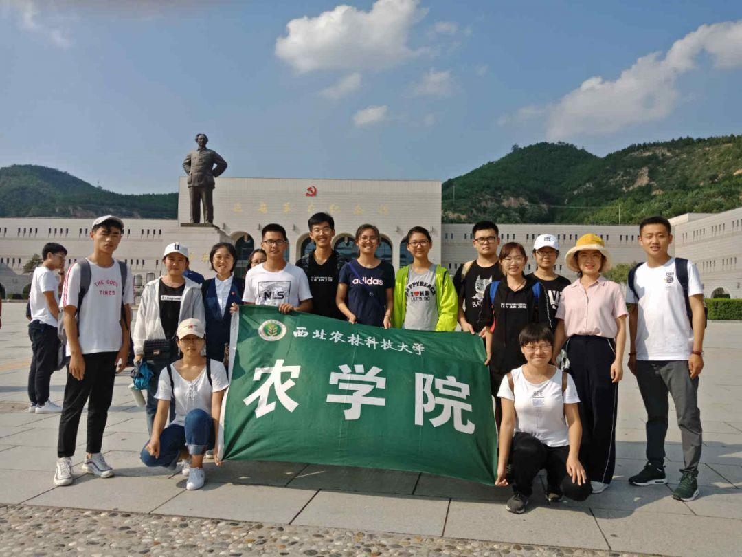 续集《二十不惑2》播出后,收视和口碑节节攀升,为影视创作带来哪些启示?-专业问答网站